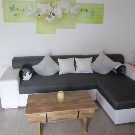Marienstrasse Apartment Neukirchen vorm Wald Ngoại thất bức ảnh